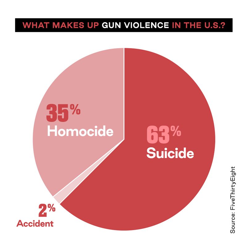 Campaign To End Gun Violence — And Or 6805